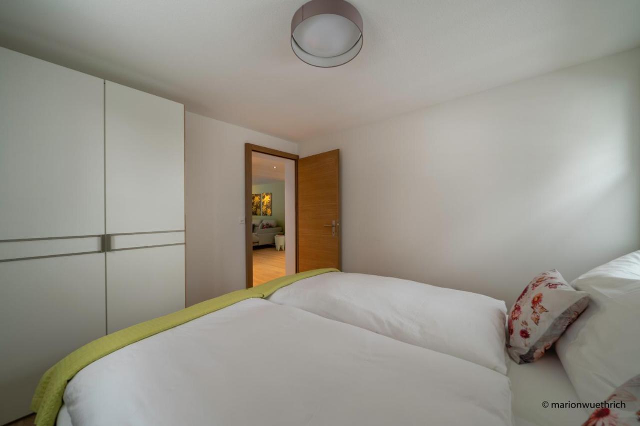 Mountain Apartments Zermatt Nr 6 מראה חיצוני תמונה